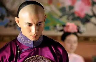 年羹尧迟迟找不到叛军主力,到底是为什么你以为他真的傻吗