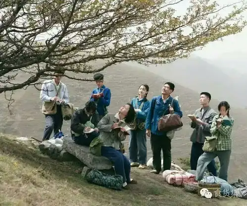 山楂树之恋酸甜山楂条
