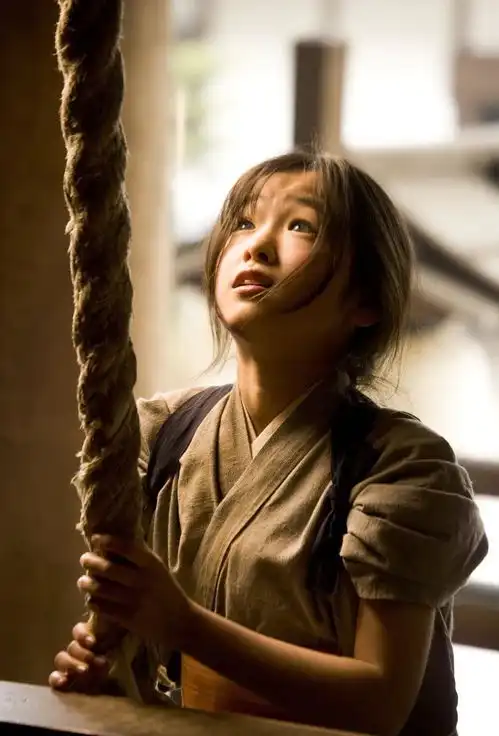 有没有关于艺妓回忆录的图片
