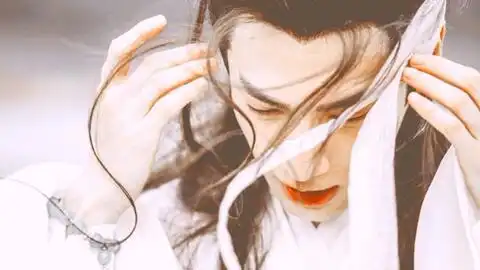 风雨无常镇二哈和他的白猫师尊原著向飞云系