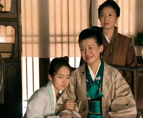 知否原著百里挑一的奴婢刘昆家的她,最爱王若弗