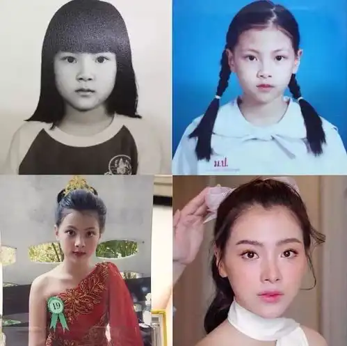 嘲lisa是东南亚脸的人,是不知道东南亚美人有多美吗
