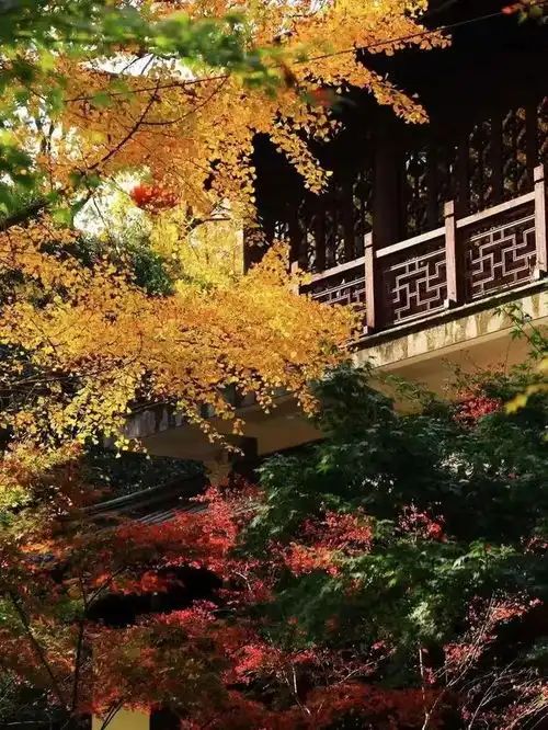 秦羽如葛庆文回忆栖霞乡师

