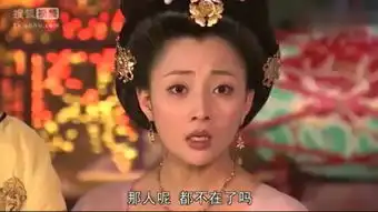杨贵妃密史
