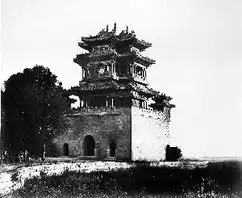 断而复续的牛尾巴
