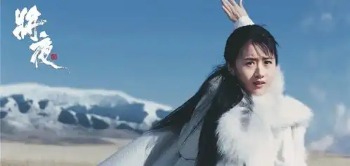 为何同样演员阵容强大的将夜没像陈情令那样播放量破95亿