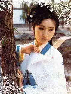 葬花吟口琴g,
