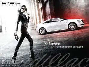 徐静蕾亲密敌人携凯迪拉克完美呈现
