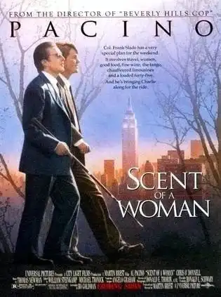 能电艺术站小提琴汇声成形,可视的美