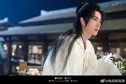 一起支持王一博新剧有翡
