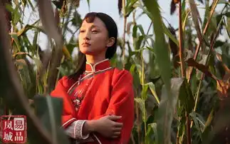 易品凤城镇北堡与红高粱