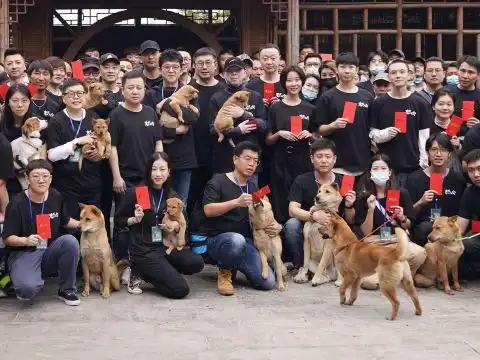 中国版忠犬八公贺岁档上映,主演冯小刚抱中华田园犬现身开机现场
