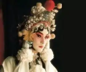 明星的宿命被万千宠爱,受万千伤害