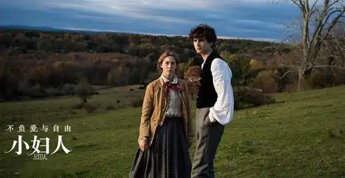 小妇人匠心制作尽显奥奖品质斯皮尔伯格提议胶片拍摄
