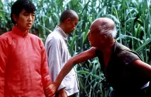 张艺谋长女张末大骂巩俐,嫁外国老公,差点活成被抛弃的母亲