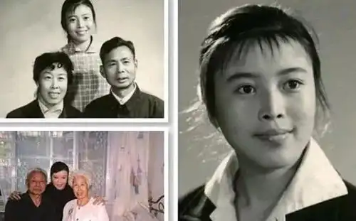 曝房似锦原型是她,孙红雷借她上位后狠心抛弃,如今还原真相