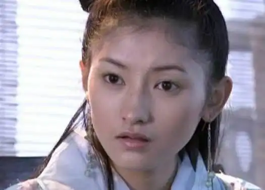 金庸武侠中的十大美女,个个都是瓜子脸,第十名武功天下第一