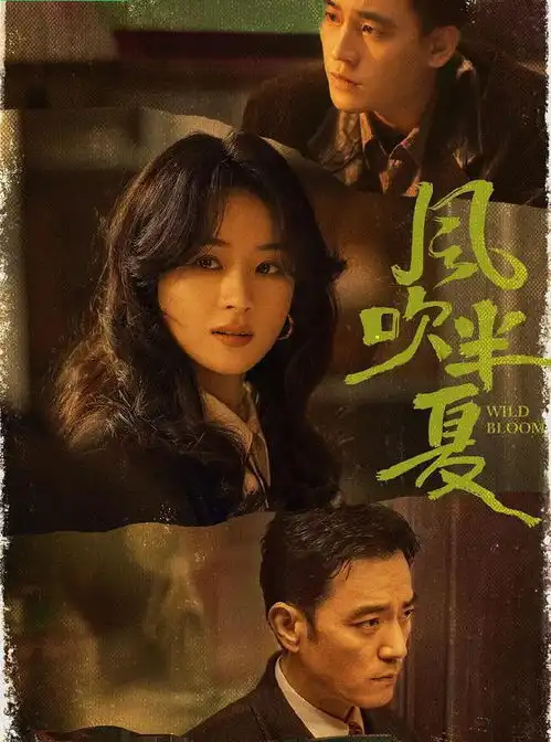 向太说风吹半夏好好看给努力的人点赞,被网友直呼现实版半夏