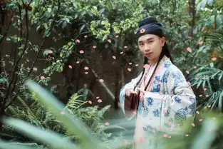 原创杨大侠之歌乱剑复何心