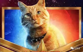 面相网红脸的时代,宽脸才是富贵王者