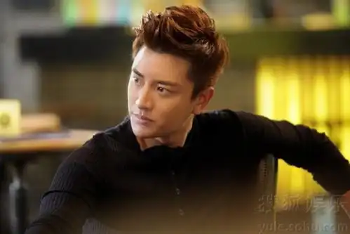 贾乃亮剧照,阳光帅气俊俏爽朗忧郁颓废尽显个性
