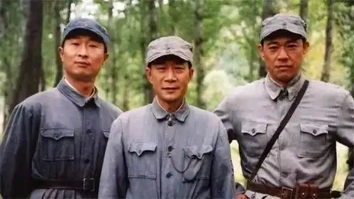 又是一年双11,到底有谁成就了阿里