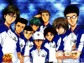 网球王子princetennis