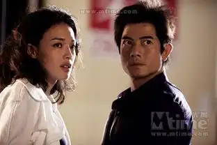 陈木胜指导郭富城舒淇主演全城戒备剧照7
