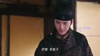 热血长安优酷播放量破13亿萨摩多罗是良心外包