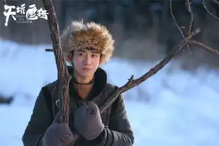 天坑鹰猎杀青
