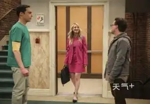 生活大爆炸大结局了是真的吗生活大爆炸中坏了12年的电梯修好了
