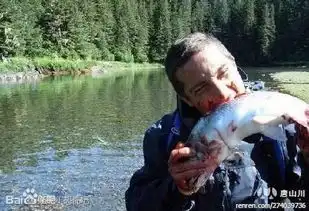 贝尔英国探险家兼电视节目主持人搜狗百科
