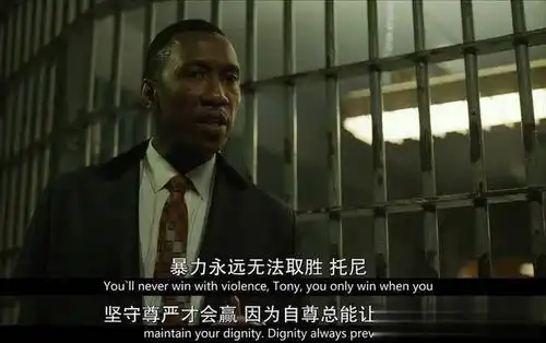 最佳电影绿皮书好看在哪
