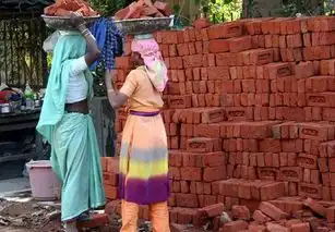 直击摔跤吧爸爸,印度女性地位比电影更残酷