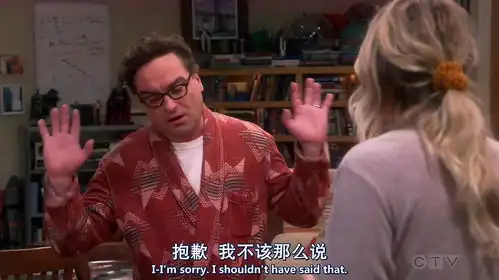 生活大爆炸莱纳德惹恼佩妮,这时候情商直线飙升,套路满满