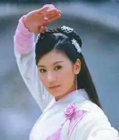 倚天屠龙记友朋贾静雯版阿离金华婆婆小昭等等是谁饰演的
