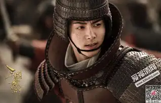 三国机密刘平识破唐瑛的真实身份袁绍偷偷与裴先生见面