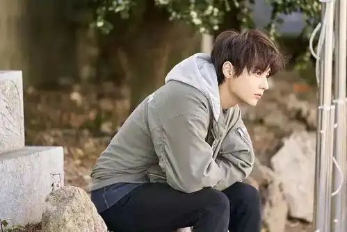 花游记后再战韩国版情书被公司耽误的他终于走花路了
