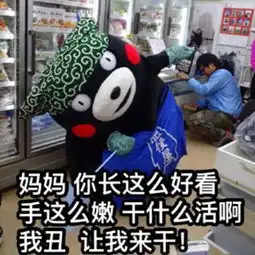 熊本熊母亲节撩妈表情包无水印版下载飞翔下载