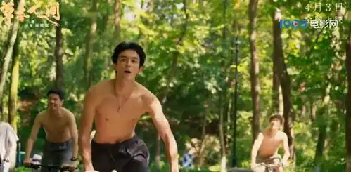 草木人间4月3日上映吴磊深入传销腹地解救蒋勤勤