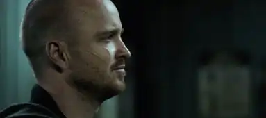 不是绝命毒师的结局,是在跟小粉好好告别
