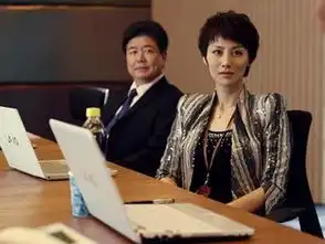 最美的时光2013年钟汉良张钧甯主演电视剧
