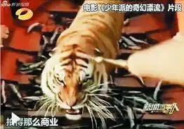 于正笑傲江湖与少年派有异曲同工之妙