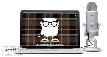 bluemicrophonesyeti主播爆款,银色usb话筒麦克风亚马逊中国价格664值值值
