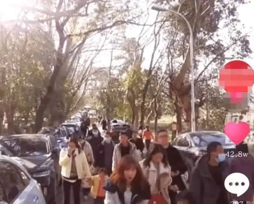 湖北襄阳因你好,李焕英成网红打卡地
