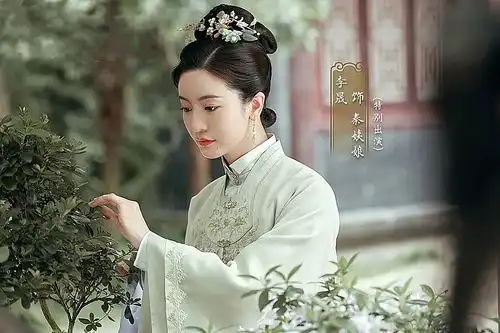 傲娇将军徐令宜x装傻夫人罗十一娘的设定,电视剧版变甜很多
