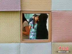 南京女大学生设计便携环保蜗居