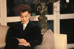 桀骜奶萌黄子韬谈判官荧屏首秀魅力上线