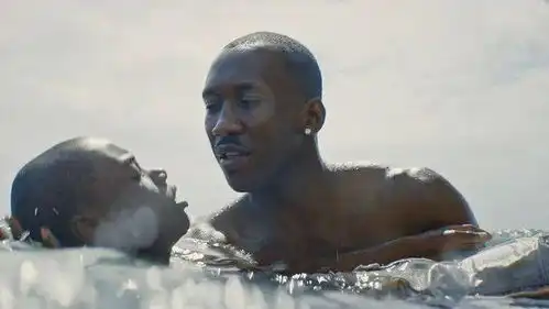 omg乱世佳人下架,老友记道歉经典招谁惹谁了
