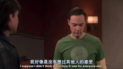 重温生活大爆炸,强迫症0情商清高自傲,怪胎天才也可爱